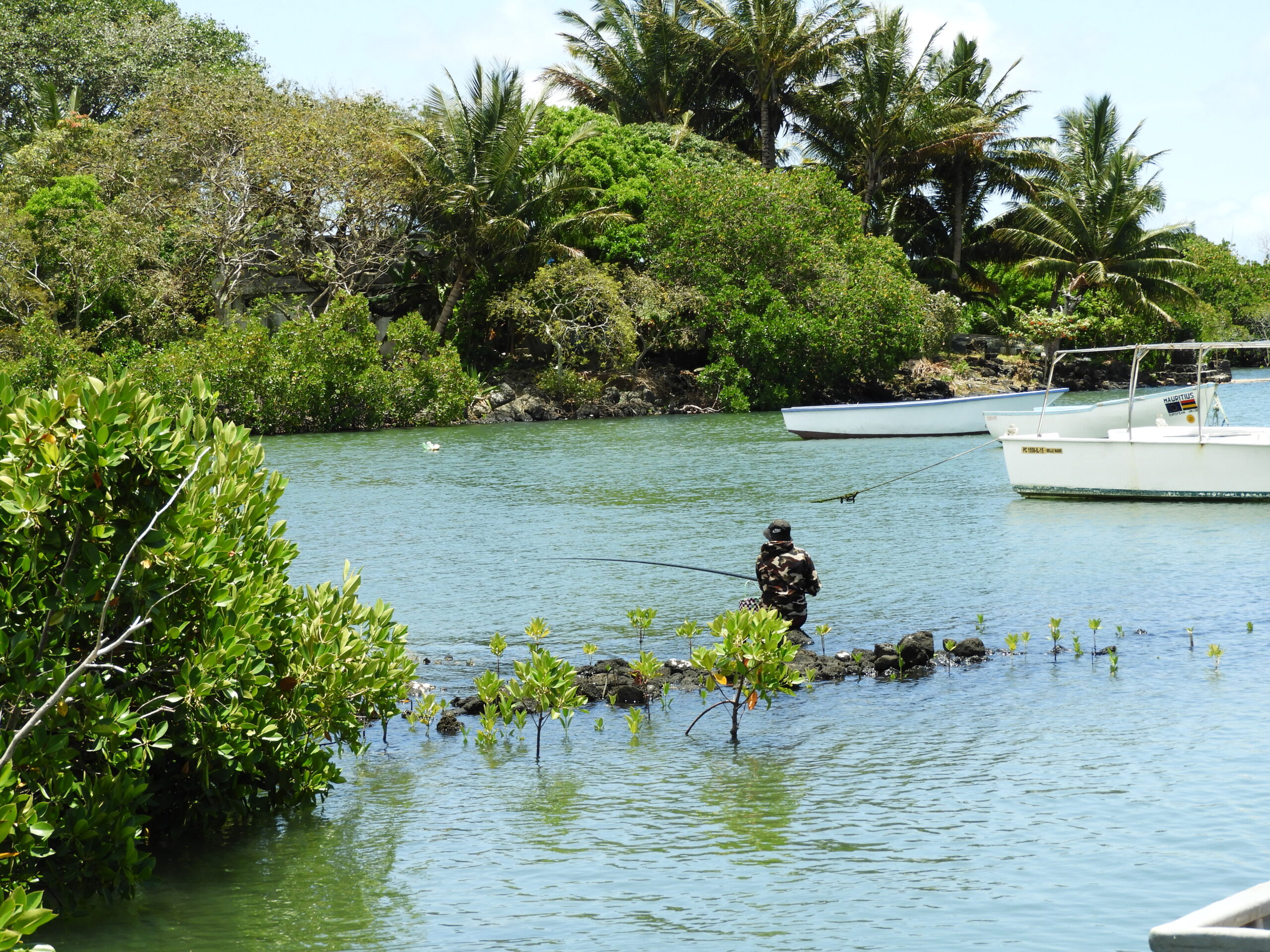 Filoumoris  Heritage Revival