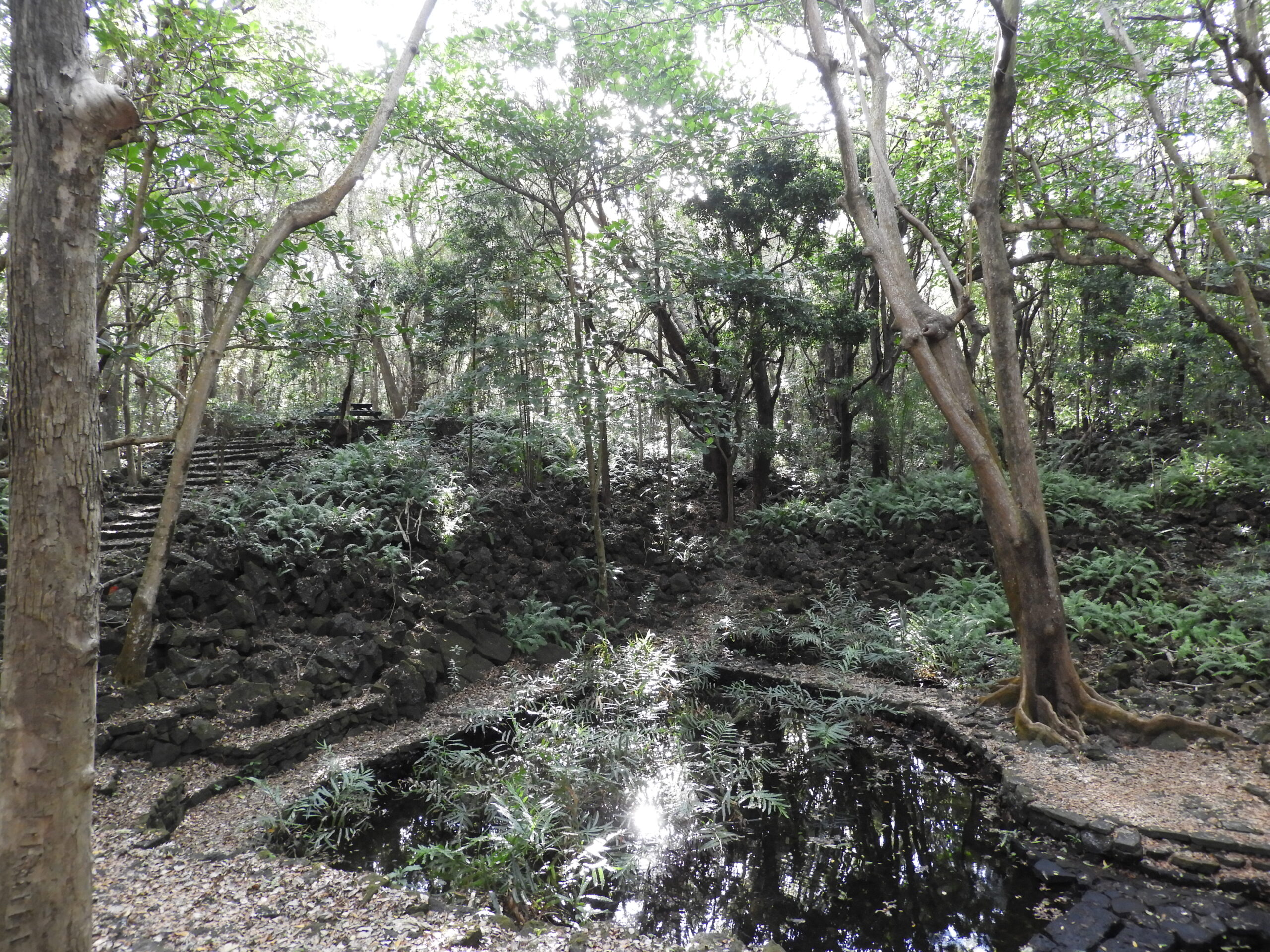 Coastal Management  Plan – Black River